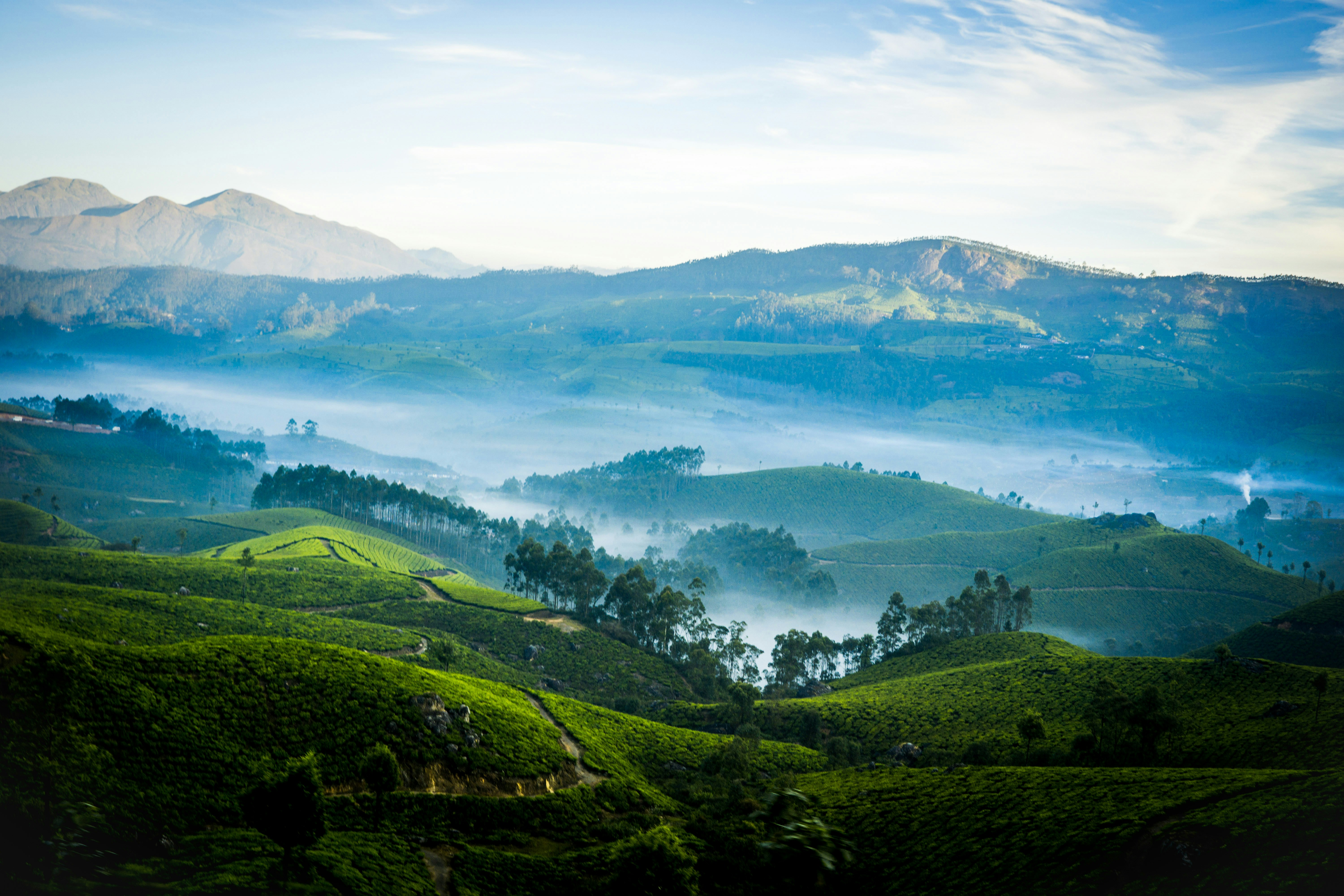 Munnar Kerala tea plantation with rolling emerald hills, mist clouds below horizon and clear blue sky