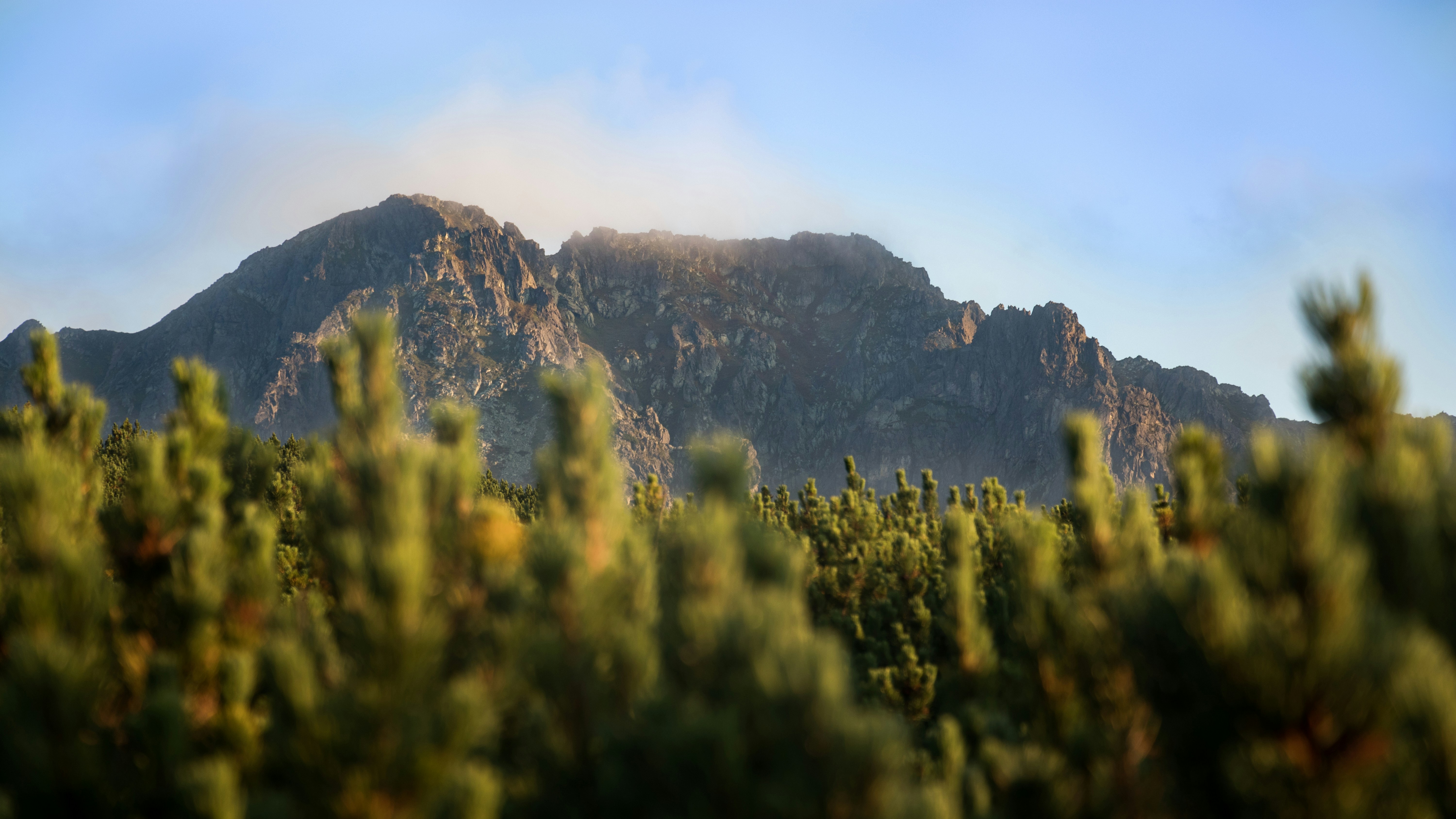 Coonoor, Ooty gallery image 6