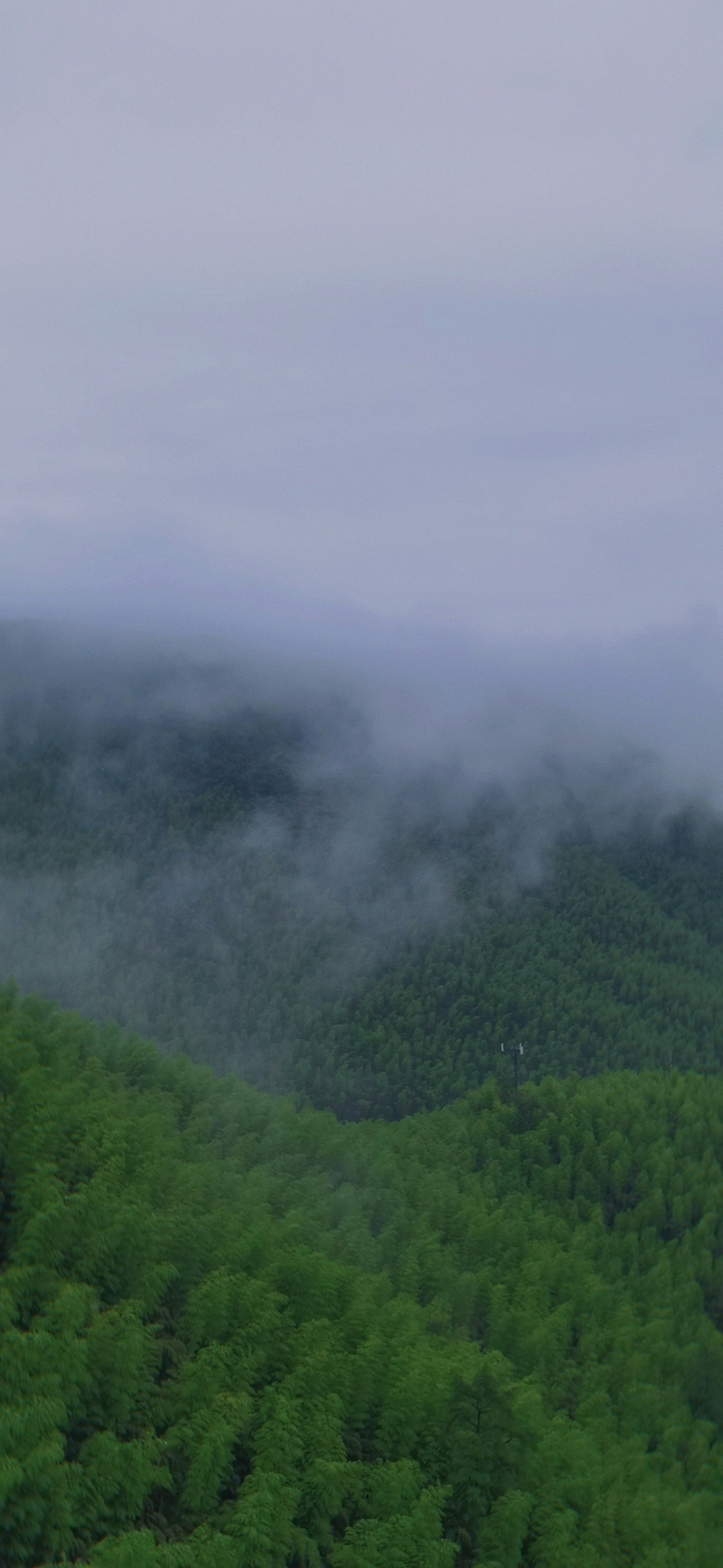 Kipling's Jungle Book Country